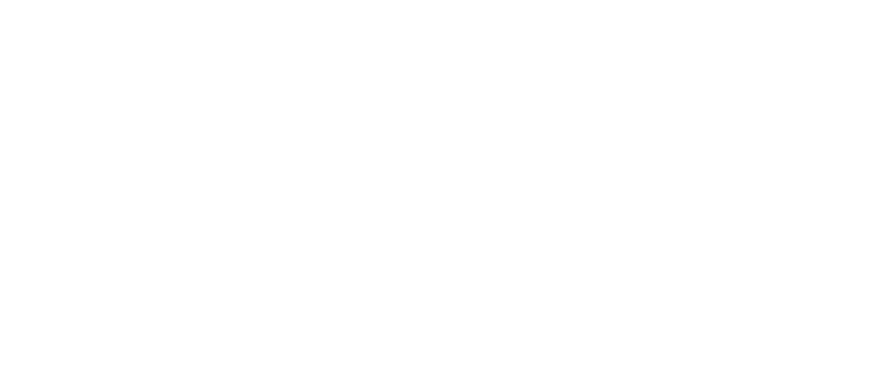 Fast CN macOS模拟器版